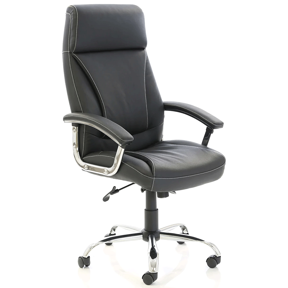 Biro Faux Leather Excecutive Chair