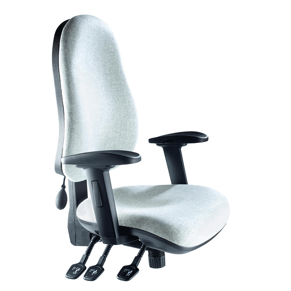 Arctic Ergo Task Chair