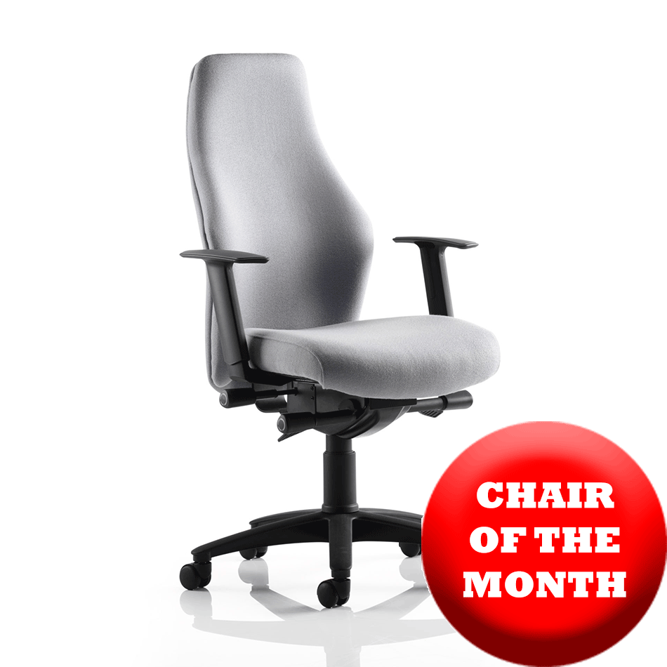 Used Ocee Flexion Task Chair