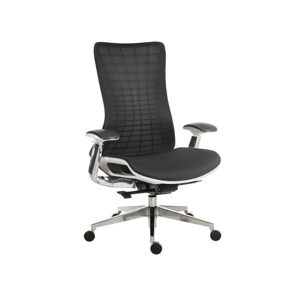 Solace Executive Mesh Chair