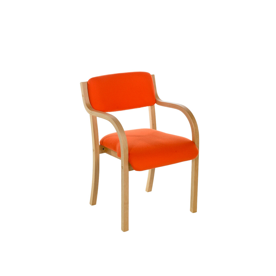 NOE Tyson Meeting Chair