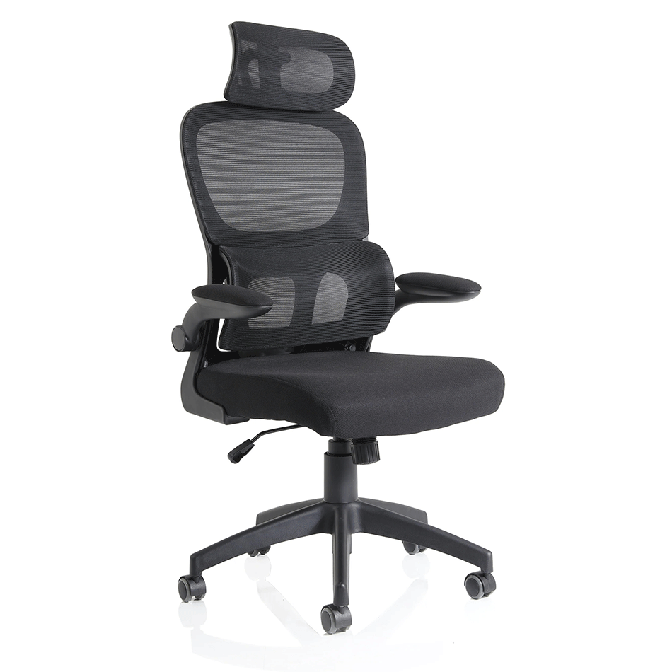 Pupil Mesh Executive Chair